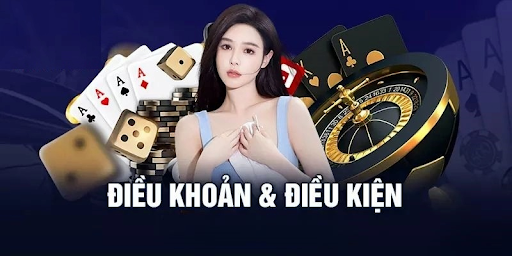 Điều khoản và điều kiện